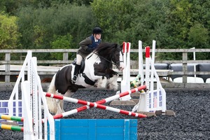 Class 2 -  Fences not above 2'